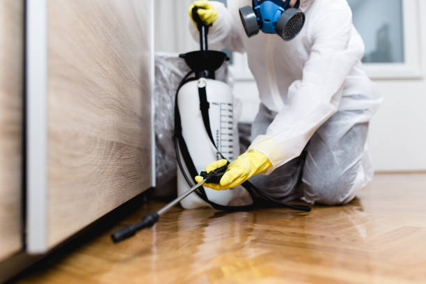 Best Pest Removal Services  in Grandyle Village, NY