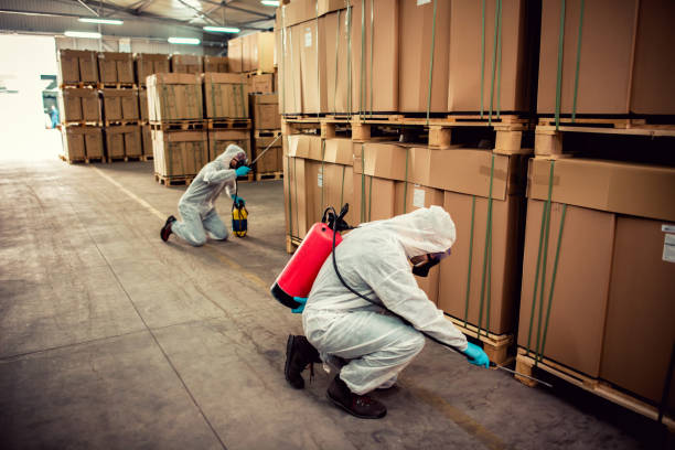 Best Bed Bug Extermination  in Grandyle Village, NY
