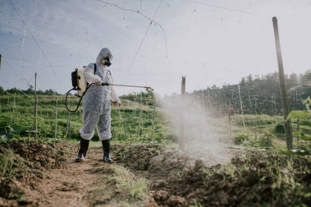 Best Best Pest Control Companies  in Grandyle Village, NY
