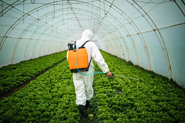 Best Affordable Pest Control Services  in Grandyle Village, NY