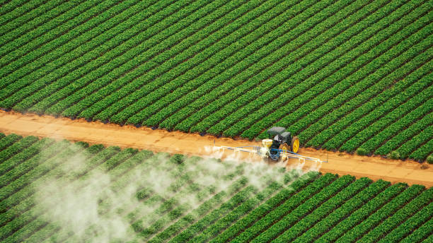 Best Commercial Pest Control Services  in Grandyle Village, NY
