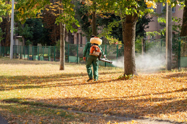 Best Wildlife Control Services  in Grandyle Village, NY