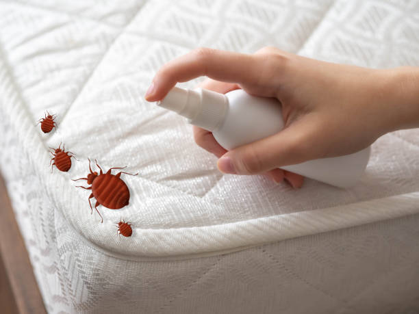 Pest Prevention Services in Grandyle Village, NY